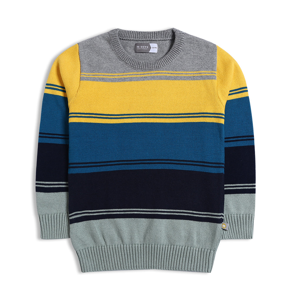 Boys Multi Color Sweater