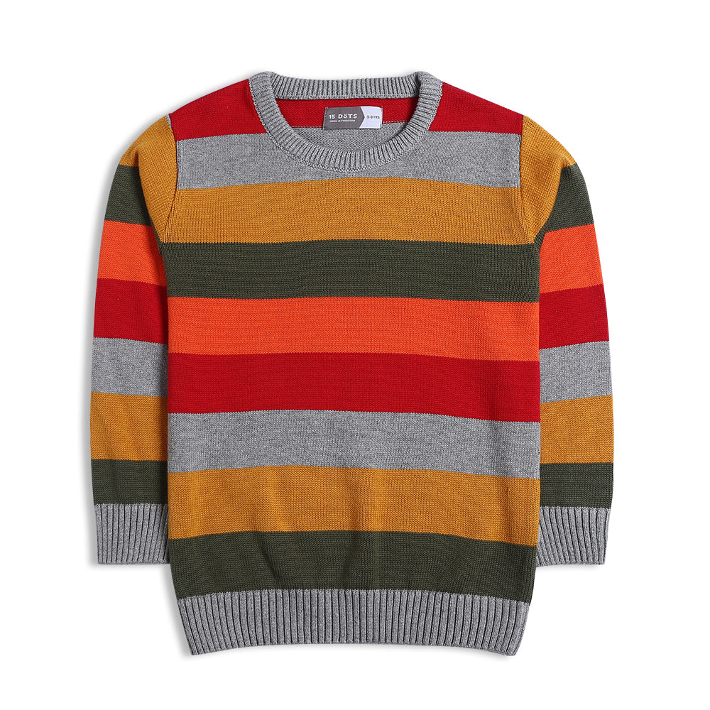 Boys Multi Color Sweater