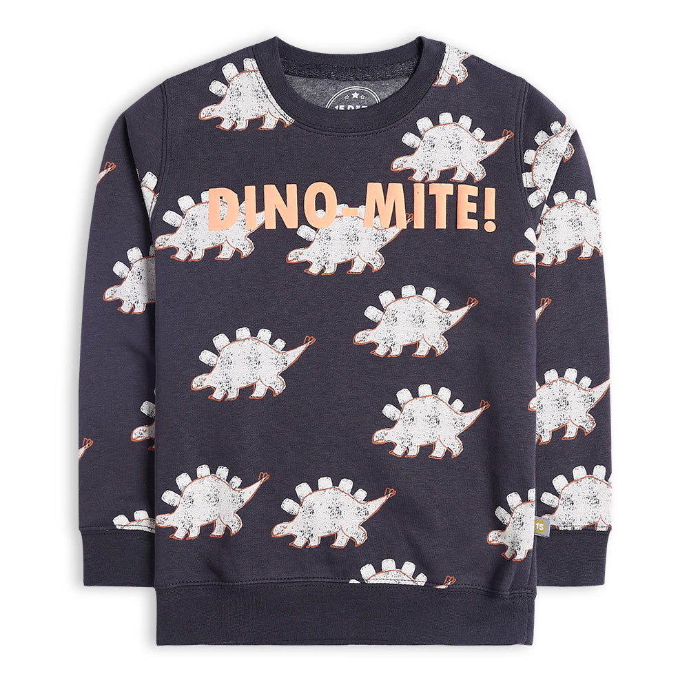 Boys Grey Printed Dinomite Sweatshirt